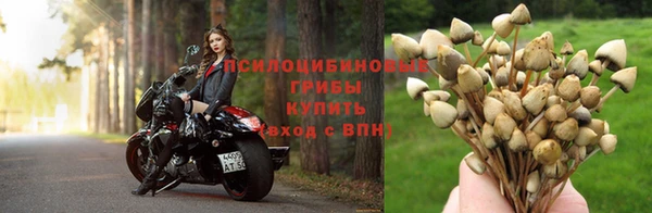 гидропоника Алзамай