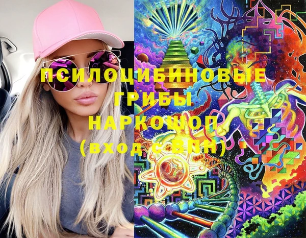 дживик Алексин