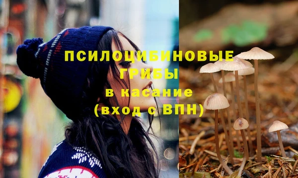 прущие крисы Алексеевка