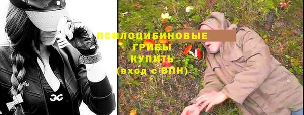 дживик Алексин