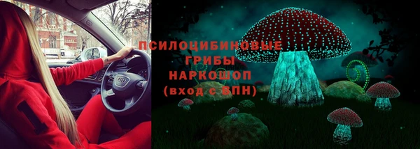дживик Алексин