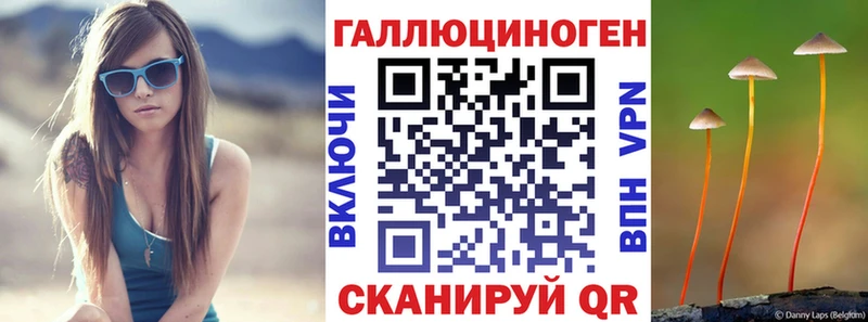 Галлюциногенные грибы Psilocybine cubensis  Любань 